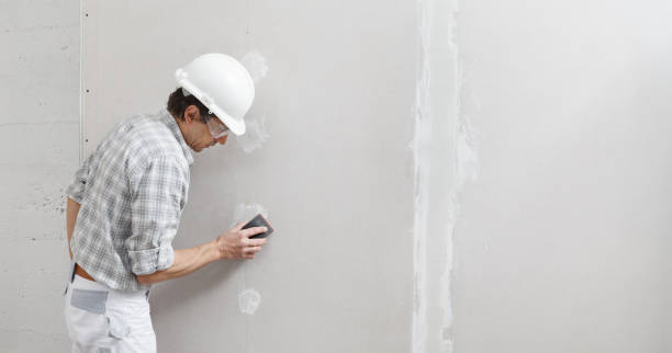 Best Drywall Crack Repair  in Lamont, MI